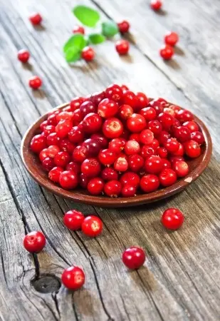cranberries gezond