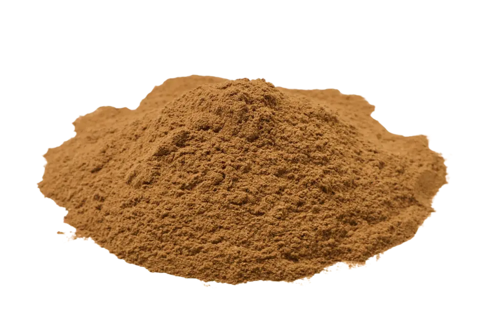 Kaneel Ceylon biologisch