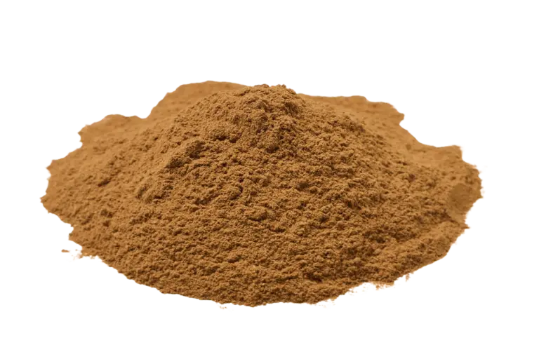 Kaneel Ceylon biologisch