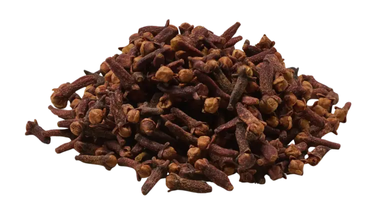 Kruidnagel biologisch