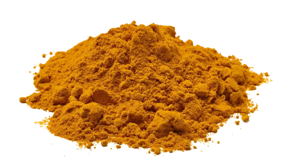 Kurkuma biologisch