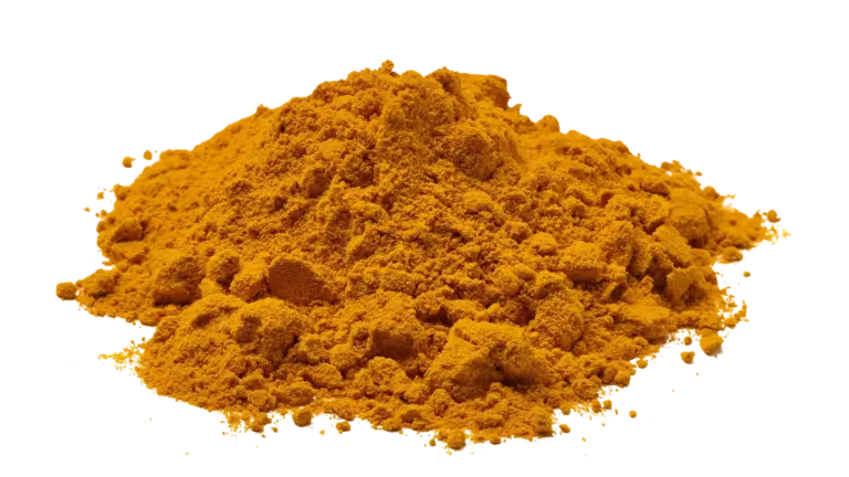 Kurkuma biologisch