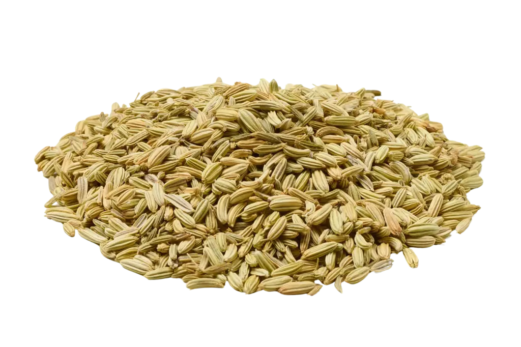 Venkelzaad biologisch