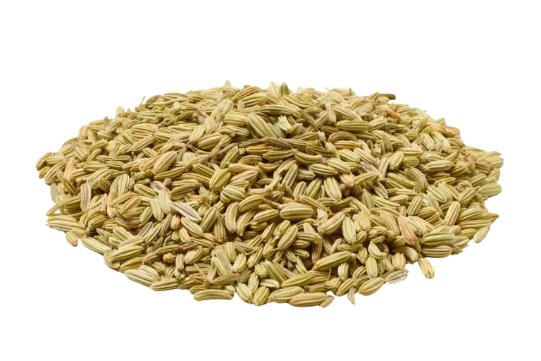 Venkelzaad biologisch