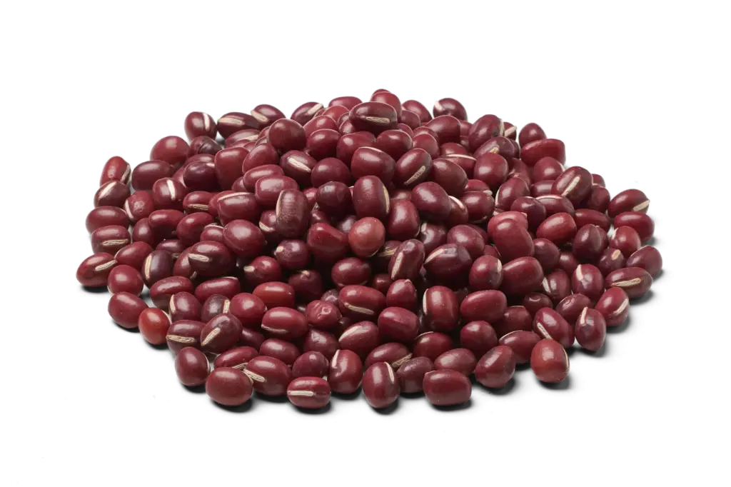Adukibonen biologisch