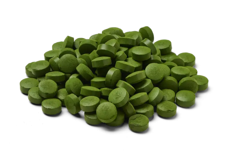 Chlorella tabletten 500 mg biologisch