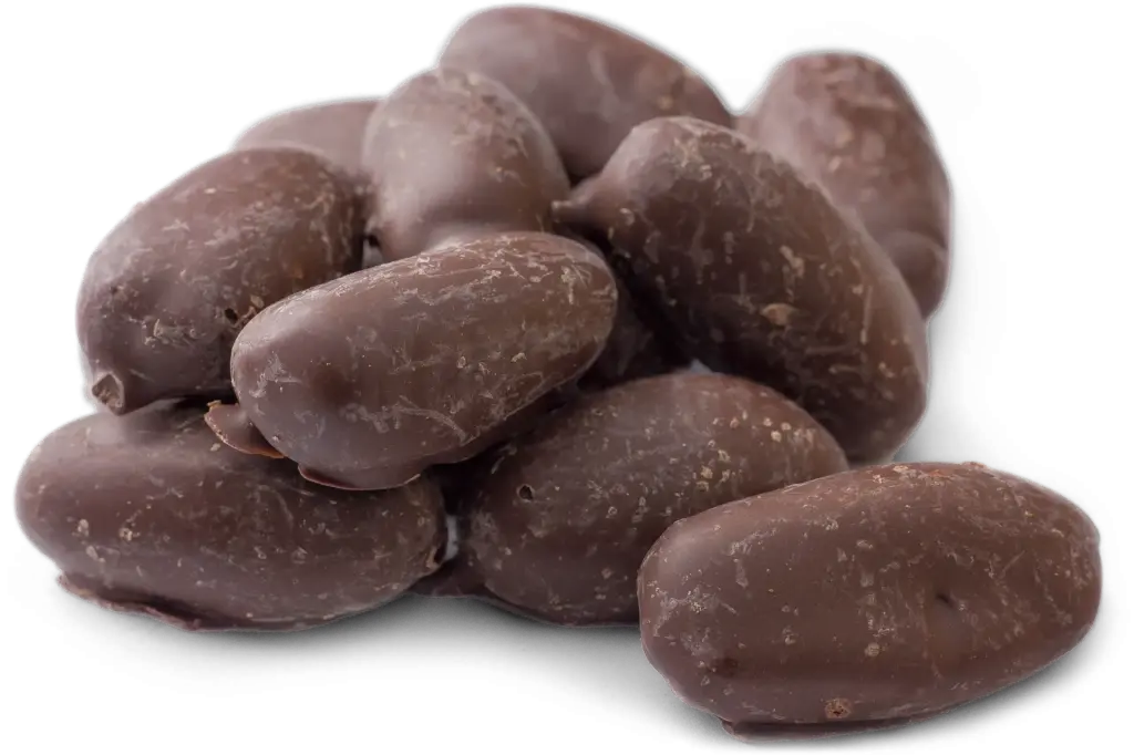 Chocolade dadels puur