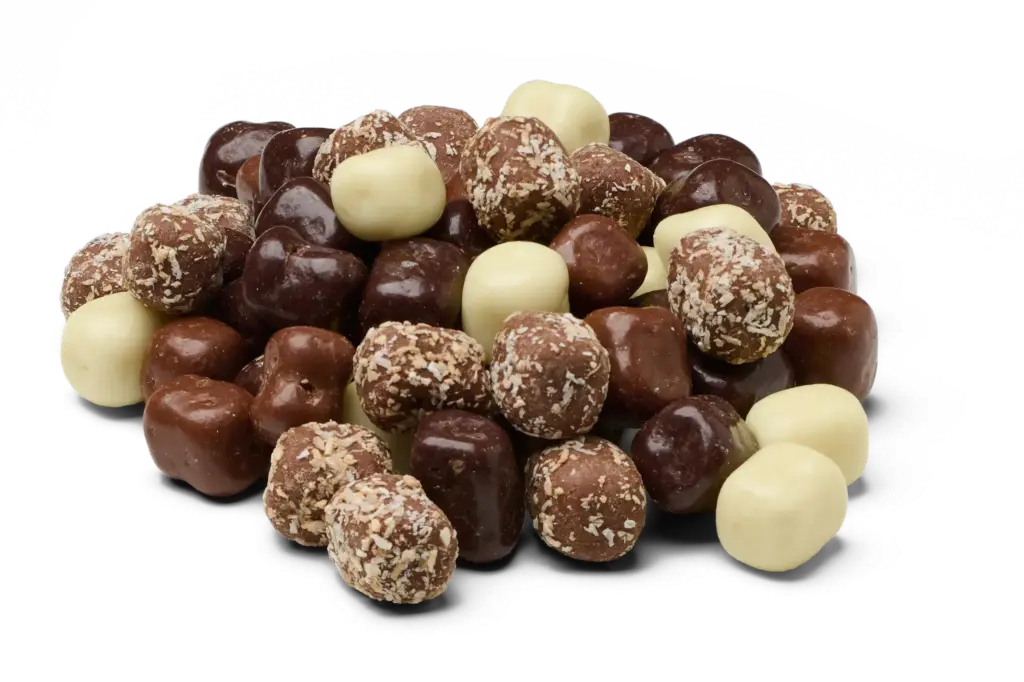 Chocolade Kokosblokjes