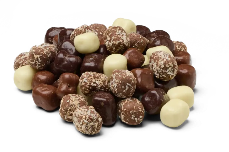 Chocolade Kokosblokjes