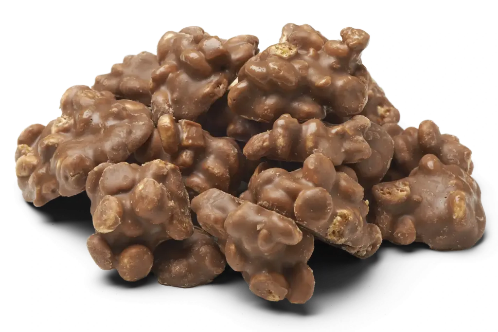 Chocolade rotsen Cookie en Fudge