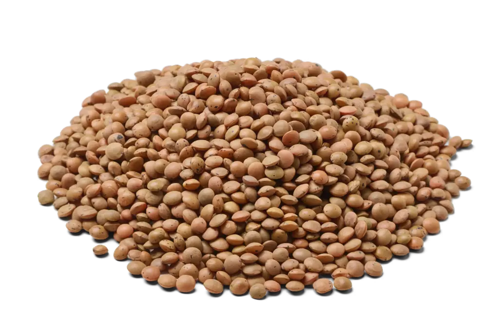 Linzen bruin biologisch
