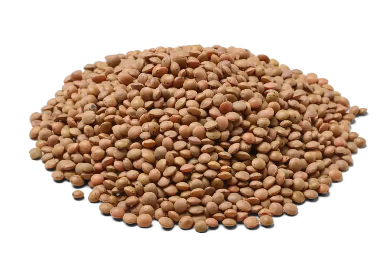 Linzen bruin biologisch