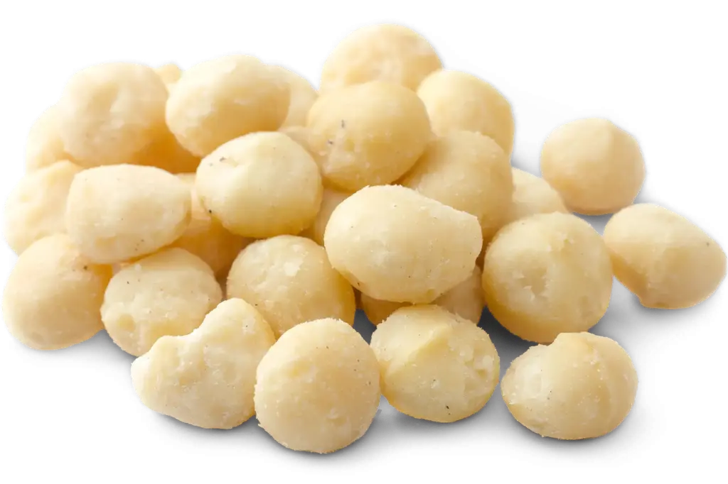 Macadamia noten rauw