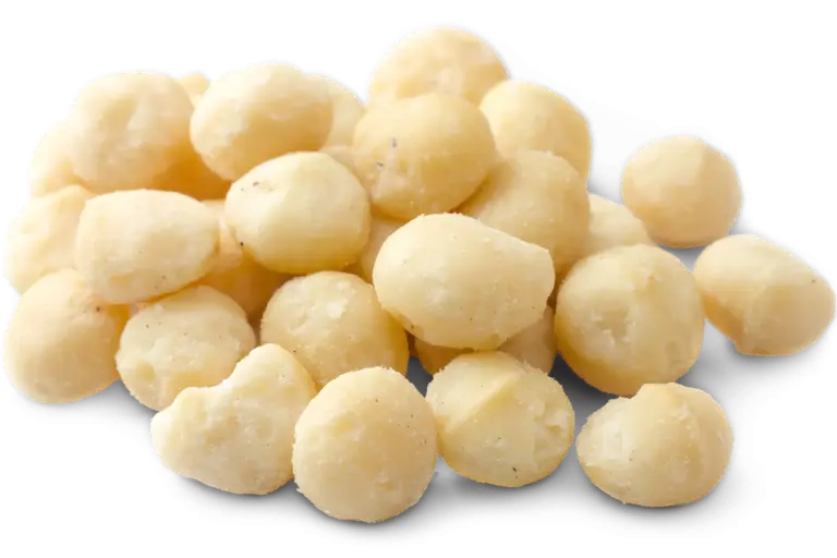 Macadamia noten rauw