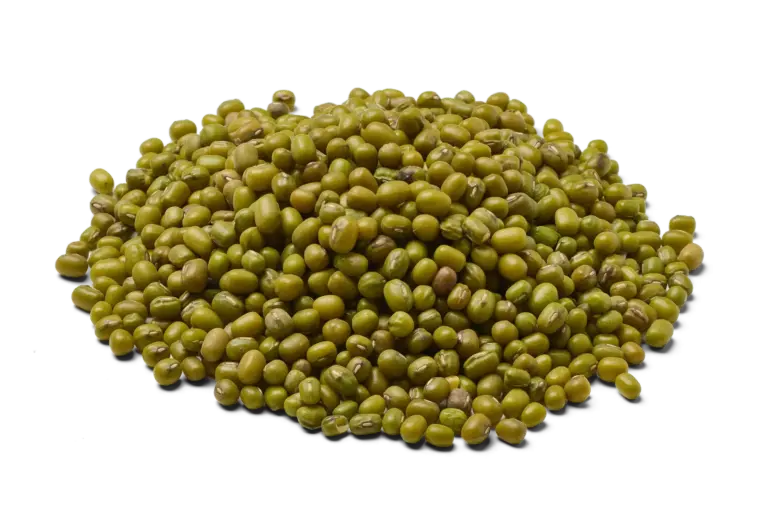 Mungbonen biologisch