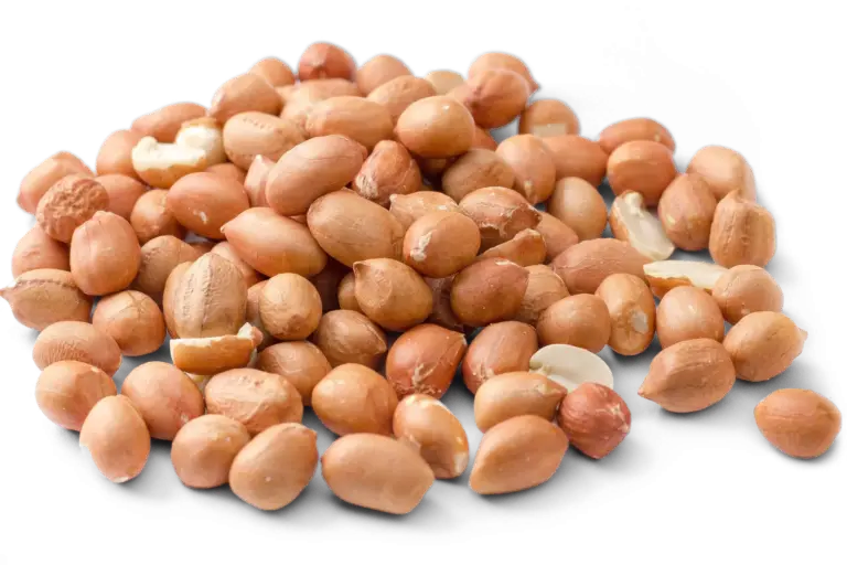 Vliespinda's klein rauw