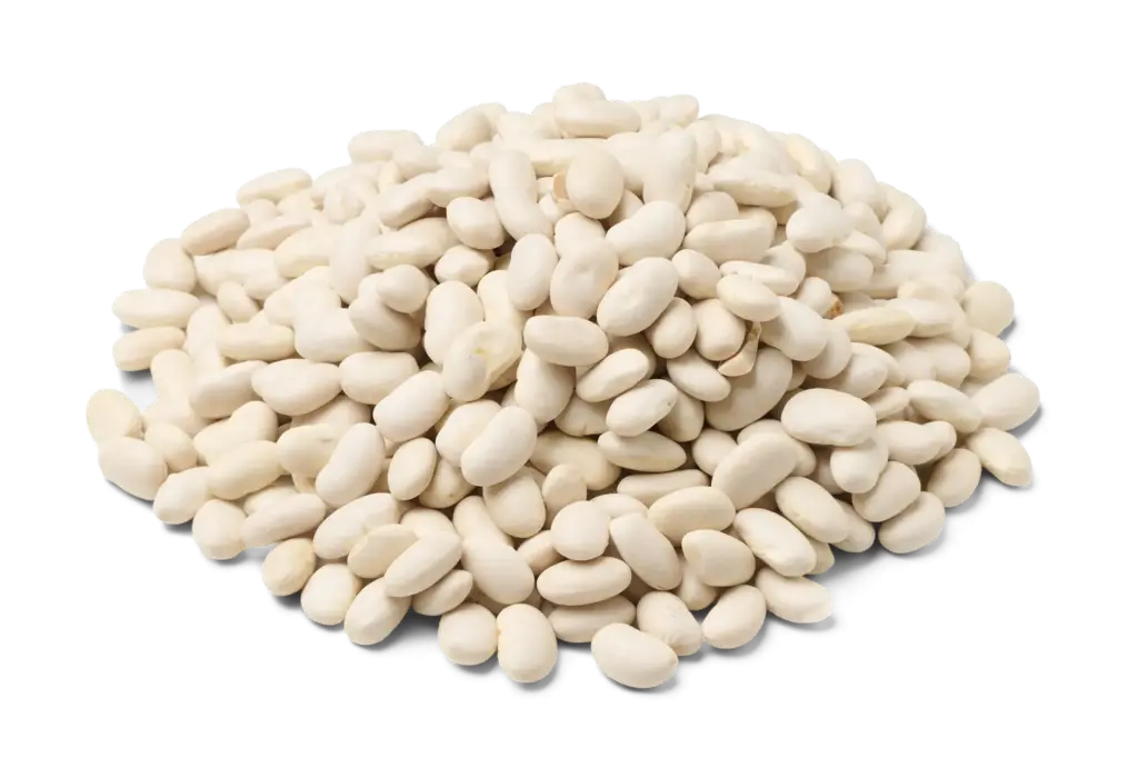 Witte bonen biologisch