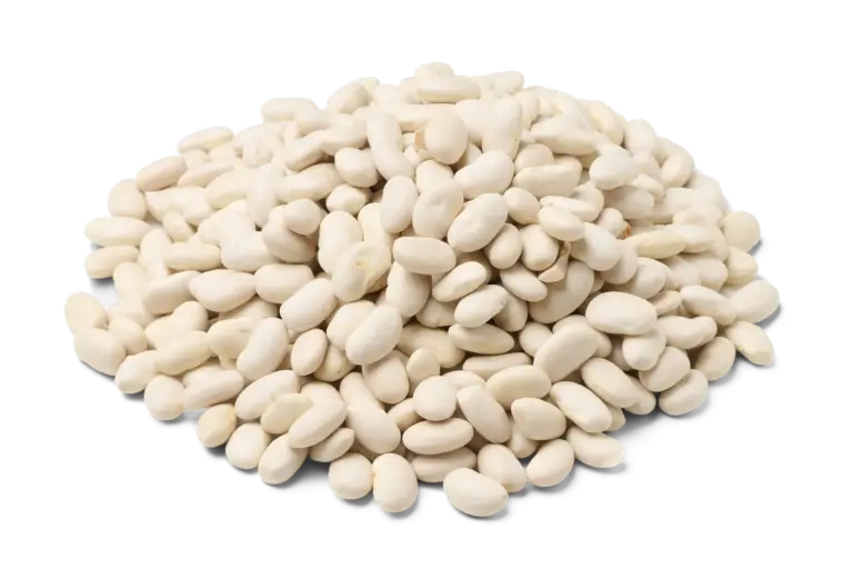 Witte bonen biologisch
