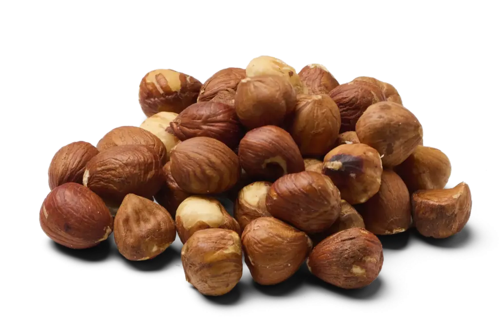 Hazelnoten bruin biologisch