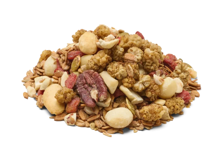 Granola moerbei/goji