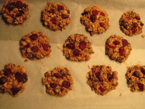 havermout koekjes - voor dat ze oven in gaan